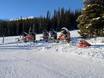 Fiabilité de l'enneigement Rocheuses d'Alberta – Fiabilité de l'enneigement Marmot Basin – Jasper