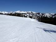 Large piste Hornfluh