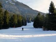La piste traverse une clairière forestière dans sa partie supérieure.