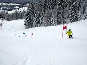 Piste de course Skimovie