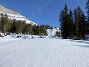 Piste n° 40 Franzin