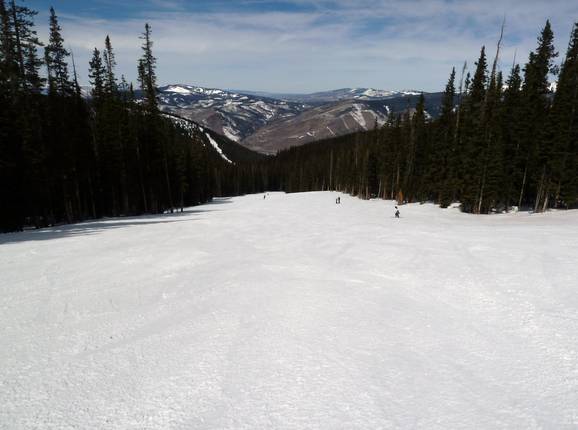 Descente typique en clairière forestière à Vail