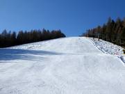 Piste Fondo Piccolo 4 n° 15