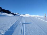 Piste de ski de fond à Courchevel