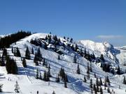 Terrain de variantes au sommet de la Planai