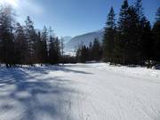 Descente Hanse-Brand-Boden