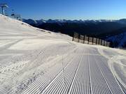 Piste fraîchement damée dans le domaine skiable de Marmot Basin