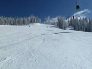 Descente au Flying Mozart