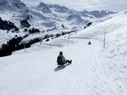Bon plan pour les enfants :  - Piste de luge Sillerenbühl - Bergläger