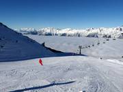 Descente Schäferhütten