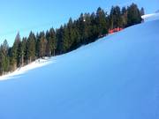 La Kandahar est raide.