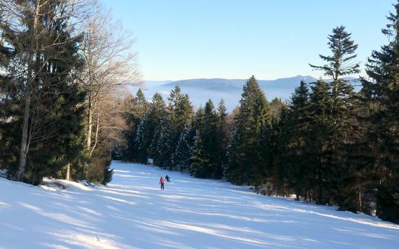 Skier dans l' arrondissement de Cham