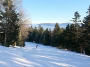 Domaine skiable Hohenbogen