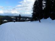 Piste facile avec vue sur Vancouver