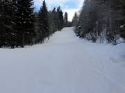 Piste Donauwellen facile