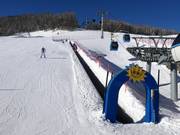 Tapis magique (l'un des nombreux dans le domaine skiable)