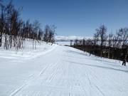 Piste facile Vintergatan dans la partie inférieure