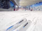 Halle de ski The Snow Centre