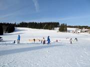 Terrain idéal pour les familles
