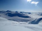 Des pentes vierges vous attendent lors de l’héliski