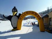 Bon plan pour les enfants :  - Club enfants BOBO de Kaiserburg géré par l'école de ski Krainer