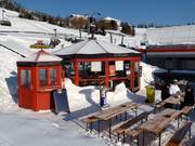 Bar à parasol Pink Bulle