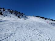 Piste attrayante au Cogulla