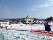 Tapis roulant gratuit dans la Beginner Zone Kitanomine