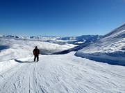 Il y a des pistes faciles partout dans le domaine skiable.