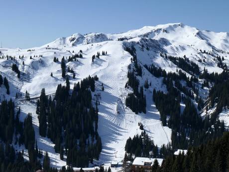 Domaines skiables pour skieurs confirmés et freeriders Autriche occidentale – Skieurs confirmés, freeriders Damüls Mellau