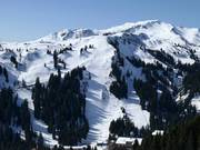Vue sur les pistes difficiles et les itinéraires de ski au Sunnegg