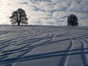En cas de fortes chutes de neige, il y a des descentes en poudreuse.