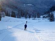 Piste de ski de fond Weirerteich