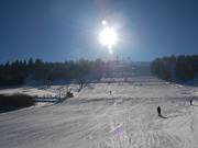 Large : piste am Ettelsberg