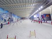 Halle de ski The Snow Centre