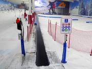 The Snow Centre (Magic Carpet 1) - Tapis roulant/Moving Carpet