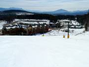 Owl Learning Area dans la zone de la vallée