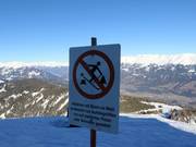 Protection de la forêt