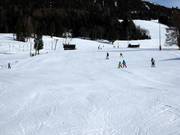 Piste pour débutants à la station de vallée au téléski Lisslift