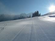 Très bonne préparation des pistes