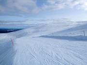 Vue sur le sommet Yllästunturi