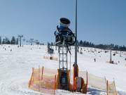 Canon à neige performant