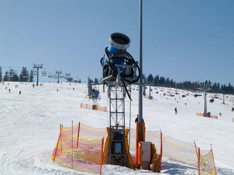 Fiabilité de l'enneigement Petite-Pologne – Fiabilité de l'enneigement Białka Tatrzańska – Kotelnica/Kaniówka/Bania