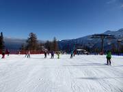 Piste facile Bamby à Folgàrida