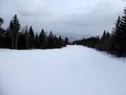 Piste facile et large La Familiale