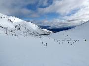 Piste facile Alta Green