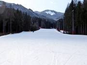 Excellente préparation des pistes