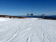 Piste Panoramabakken n° 19