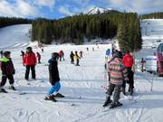 Monster Magic Carpet - Tapis roulant/Moving Carpet