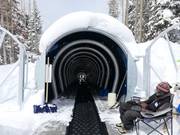 Caterpillar - Tapis roulant/Moving Carpet recouvert d’une galerie